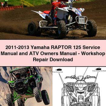 2011-2013 Yamaha RAPTOR 125 Service Manual and ATV Owners Manual-Workshop Repair