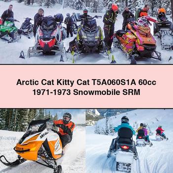 Arctic Cat Kitty Cat T5A060S1A 60cc 1971-1973 Snowmobile SRM
