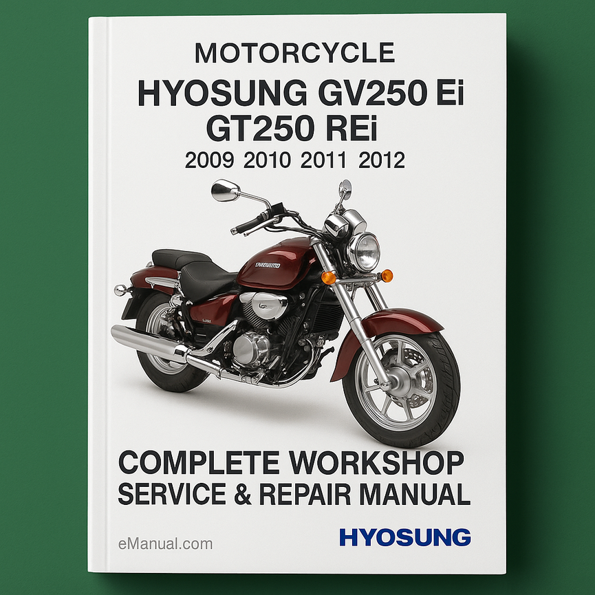 Manual completo de reparación y servicio de taller de motocicletas Hyosung GV250 Ei GT250 REi 2009 2010 2011 2012