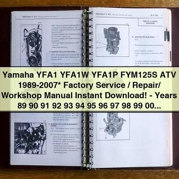 Yamaha YFA1 YFA1W YFA1P FYM125S ATV 1989-2007 Factory Service Repair Workshop Manual -Years 89 90 91 92 93 94 95 96 97 98 99 00 01 02 03 04 05 06 07
