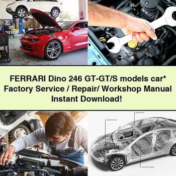 Manual de taller, reparación y servicio de fábrica del modelo FERRARI Dino 246 GT-GT/S