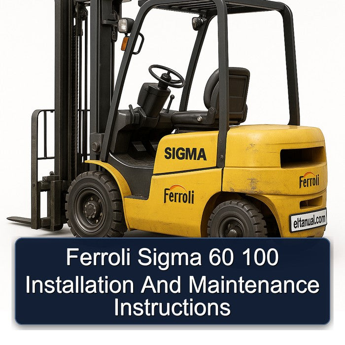 Ferroli Sigma 60 100 Installation Service Repair Workshop Manual PDF