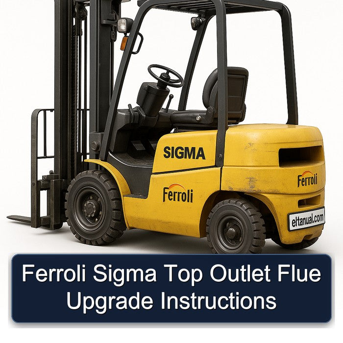 Ferroli Sigma Top Outlet Flue Upgrade Service Repair Workshop Manual PDF