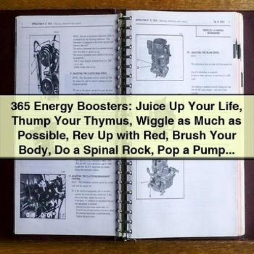 365 Energy Boosters: Juice Up Your Life