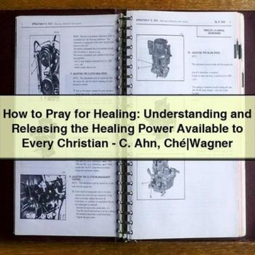 How to Pray for Healing: Understanding and Releasing the Healing Power Available to Every Christian - C. Ahn Ché - Wagner