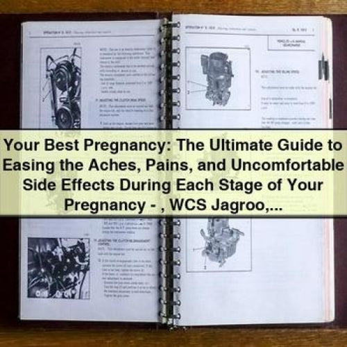 Your Pregnancy: Ultimate Easing Aches, Pains, Side Effects WCS Jagroo Denise DPT MTC Service Repair Workshop Manual PDF