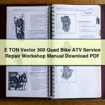 E TON Vector 300 Quad Bike ATV Service Repair Workshop Manual Download PDF