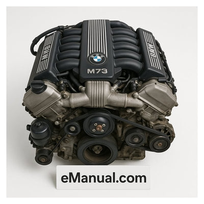 BMW M73