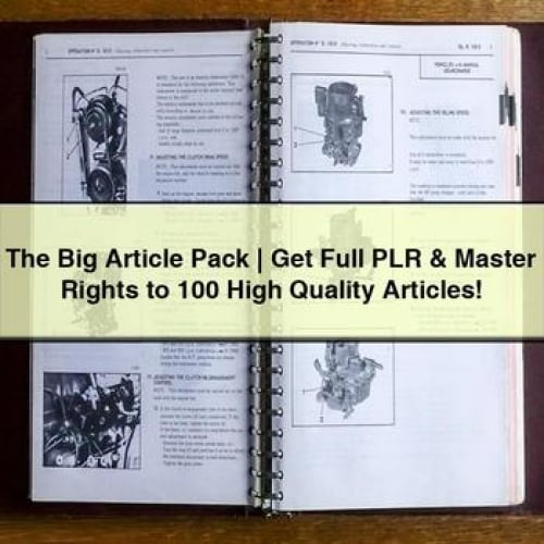 The Big Article Pack | Get Full PLR & Master Rights to 100 High Quality Articles