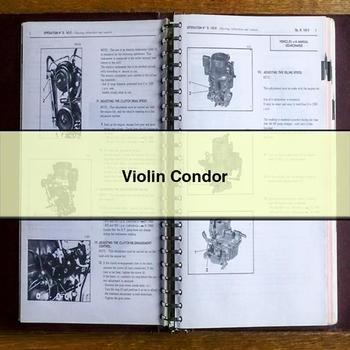 Violin Condor