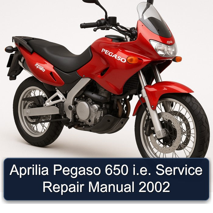 Aprilia Pegaso 650 i.e. Service Repair Manual 2002