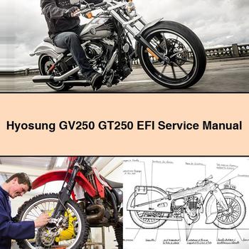 Manual de servicio y reparación de Hyosung GV250 GT250 EFI