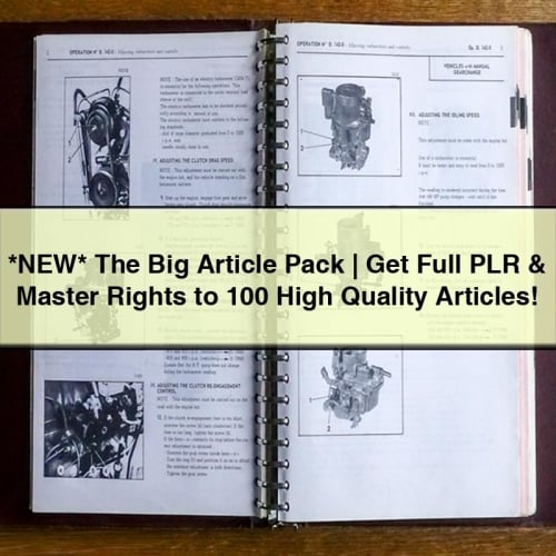 *NEW* The Big Article Pack | Get Full PLR & Master Rights to 100 High Quality Articles