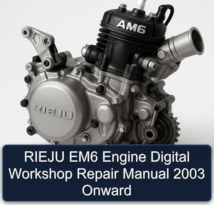 RIEJU EM6 Engine Digital Workshop Repair Manual 2003 Onward