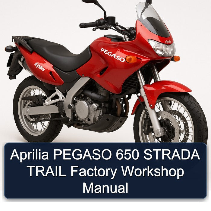Aprilia PEGASO 650 STRADA TRAIL Factory Workshop Manual