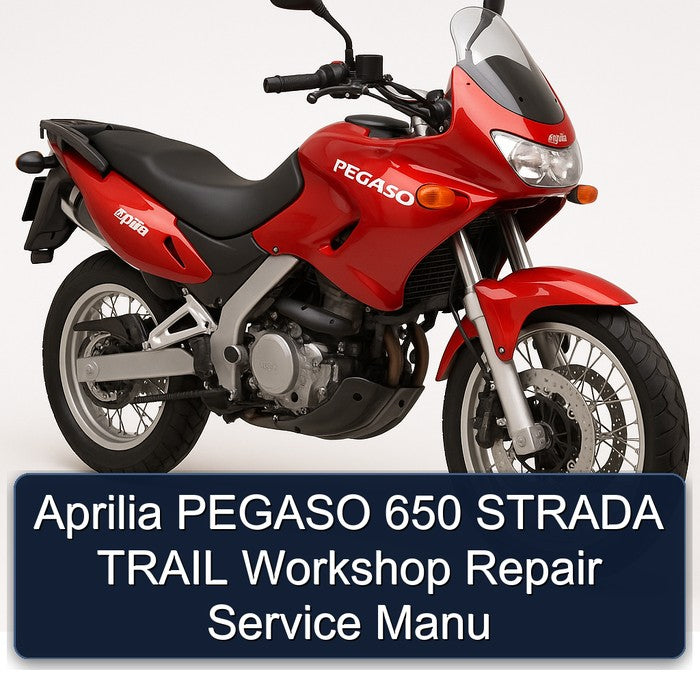 Aprilia PEGASO 650 STRADA TRAIL Workshop Repair Service Manu