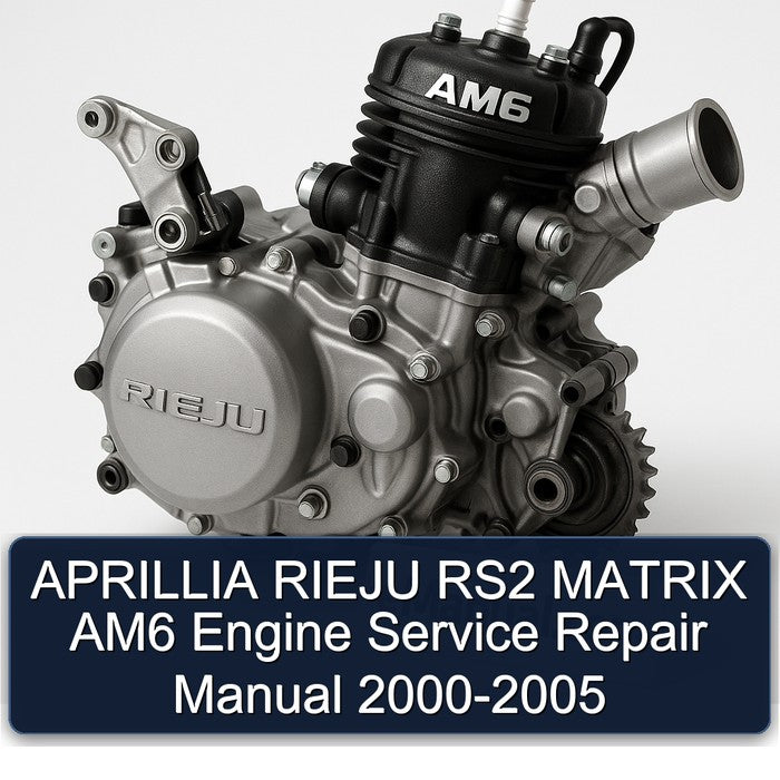 APRILLIA RIEJU RS2 MATRIX AM6 Engine Service Repair Manual 2000-2005