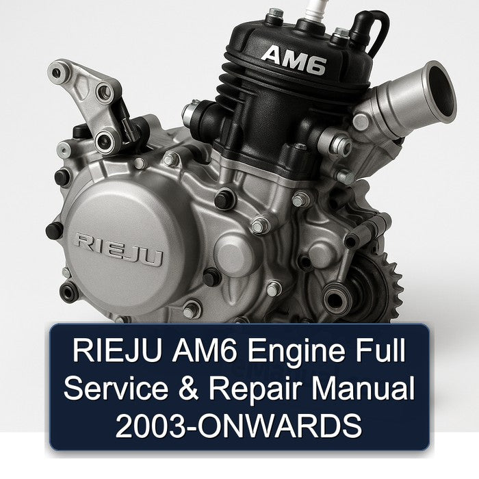 RIEJU AM6 Engine Full Service & Repair Manual 2003-ONWARDS