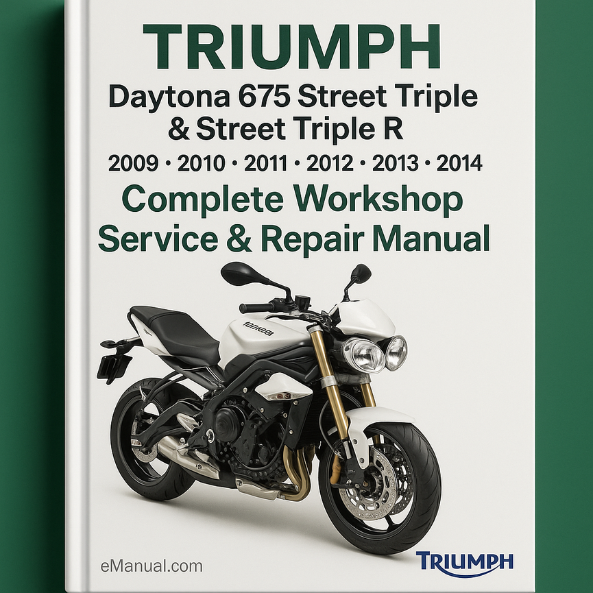 Triumph Daytona 675 Street Triple &amp; Street Triple R Komplettes Werkstatt-Service-Reparaturhandbuch 2009 2010 2011 2012 2013 2014