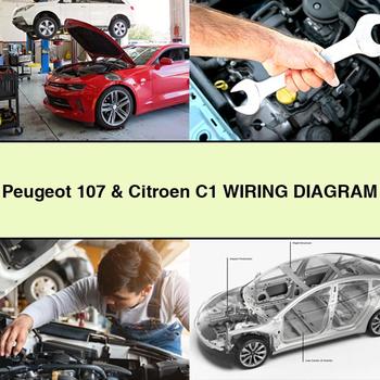 Diagrama de cableado de Peugeot 107 y Citroën C1