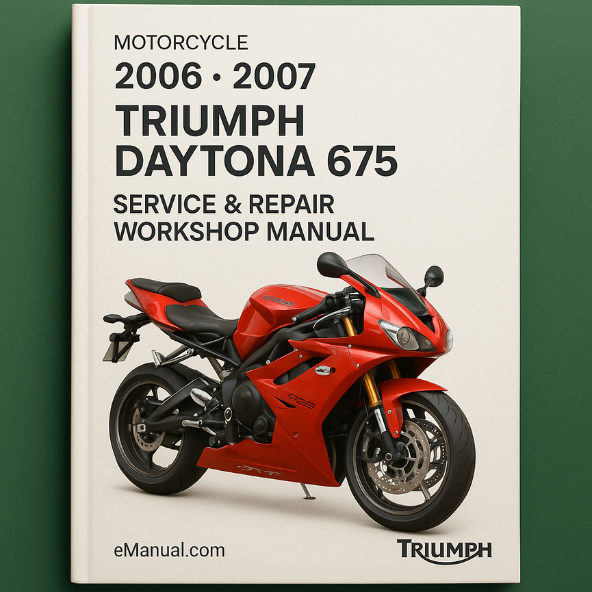 2006 2007 Triumph Daytona 675 Service Repair Workshop Manual (2006 2007)