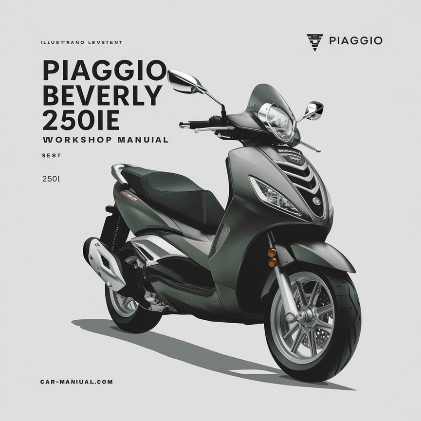 Piaggio Beverly 250ie Werkstatthandbuch