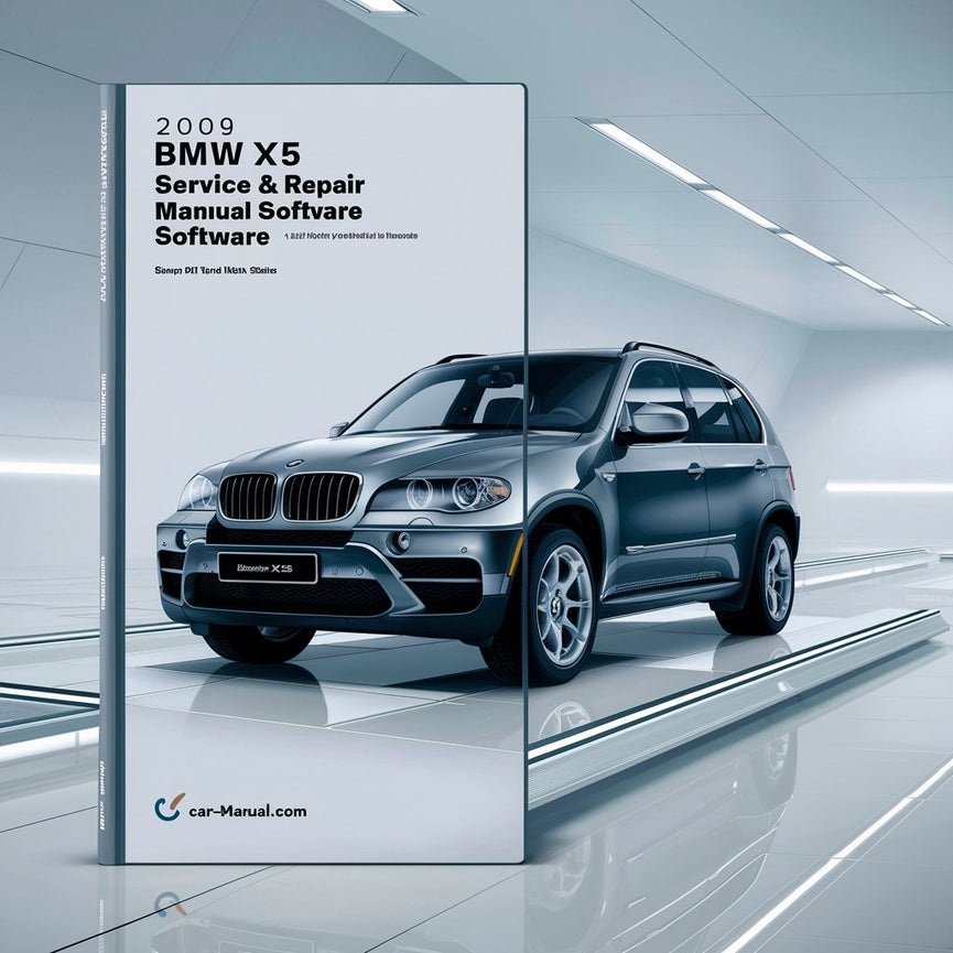 2009 BMW X5 Service & Repair Manual Software