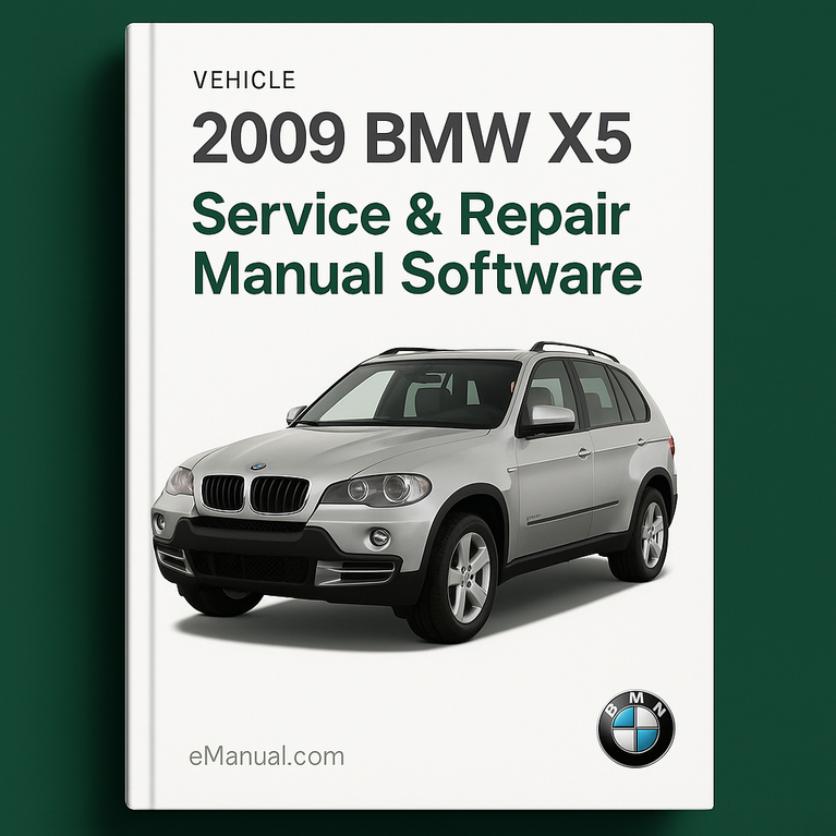 2009 BMW X5 Service & Repair Manual Software