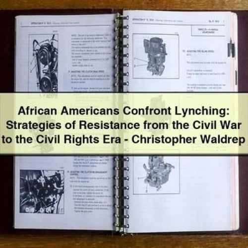 African Americans Confront Lynching: Strategies of Resistance from the Civil War to the Civil Rights Era-Christopher Waldrep