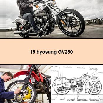 15 Hyosung GV250