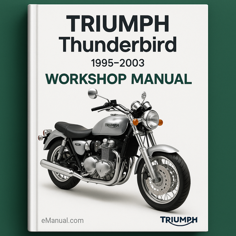 TRIUMPH Thunderbird Workshop Manual 1995-2003