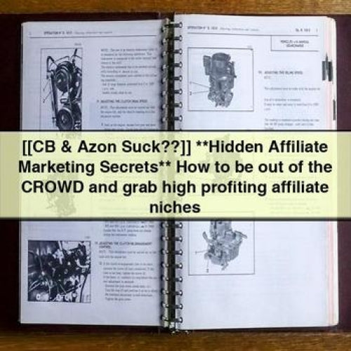 Hidden Affiliate Marketing Secrets: How to Stand Out and Grab High-Profiting Affiliate Niches