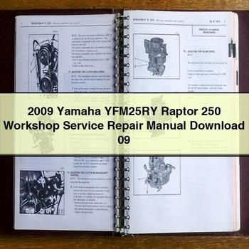 2009 Yamaha YFM25RY Raptor 250 Workshop Service Repair Manual 09