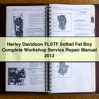 Manual de servicio y reparación completo del taller Harley Davidson FLSTF Softail Fat Boy 2012