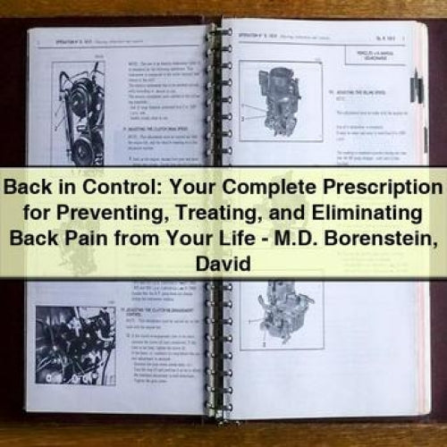 Back in Control: Your Complete Prescription for Preventing, Treating, and Eliminating Back Pain by David Borenstein M.D.