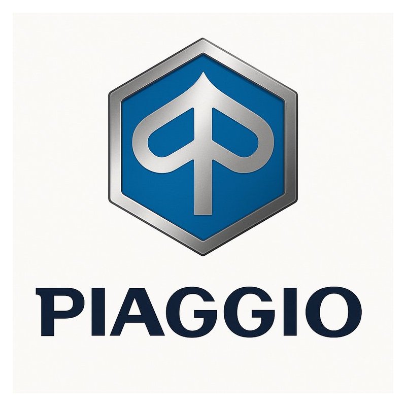 2008-2012 Beta Evo Piaggio X7 300 IE Digital Service Repair Workshop Manual