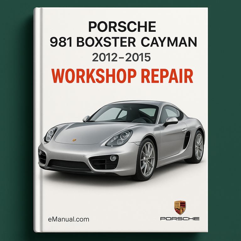 Taller de reparación del Porsche 981 Boxter Cayman 2012-2015