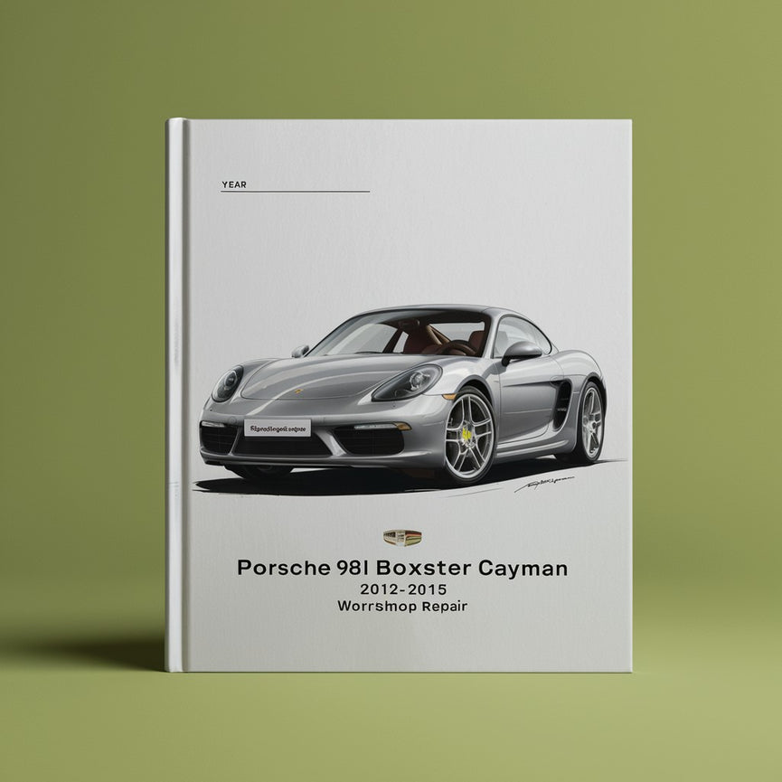 Porsche 981 Boxter Cayman 2012-2015 Werkstattreparatur