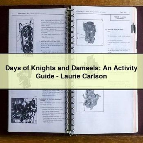 Days Knights Damsels: Activity - Laurie Carlson Service Repair Workshop Manual PDF