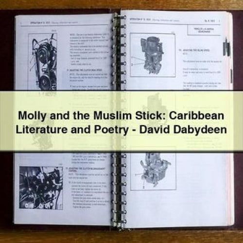 Molly and the Muslim Stick: Caribbean Literature and Poetry - David Dabydeen