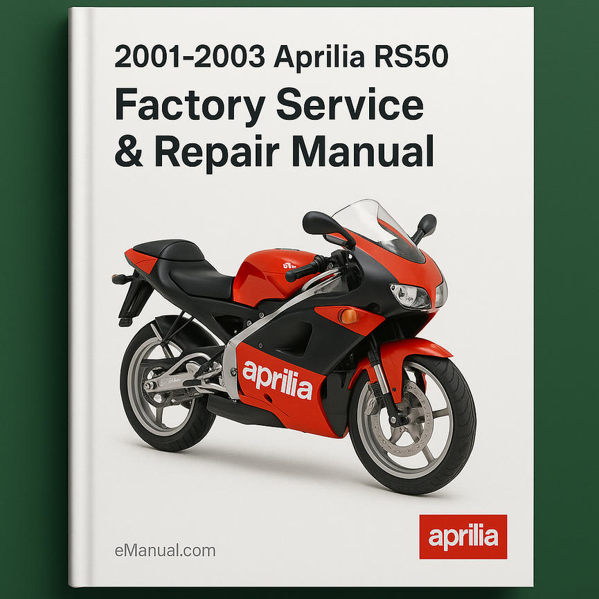 2001-2003 Aprilia RS50 Factory Service Repair Manual 2002