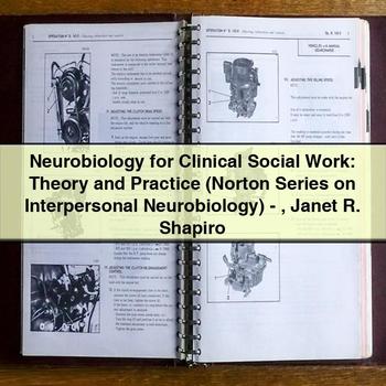Neurobiology for Clinical Social Work: Theory and Practice (Norton Series on Interpersonal Neurobiology) - Janet R. Shapiro