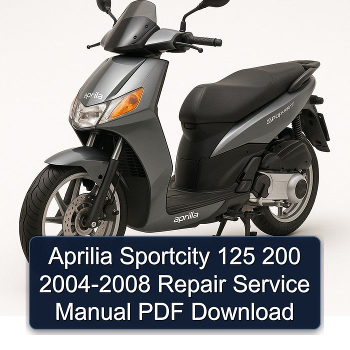 Aprilia Sportcity 125 200 2004-2008 Repair Service Manual