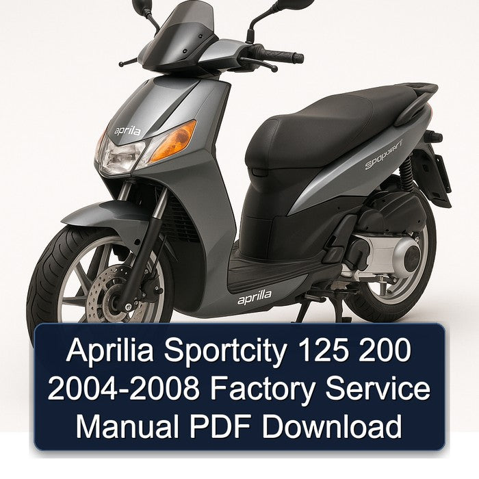 Aprilia Sportcity 125 200 2004-2008 Factory Service Manual