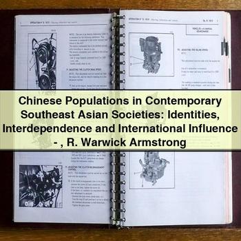 Chinese Populations in Contemporary Southeast Asian Societies: Identities, Interdependence, and Influence